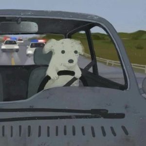 Meet your Posher, Rocio